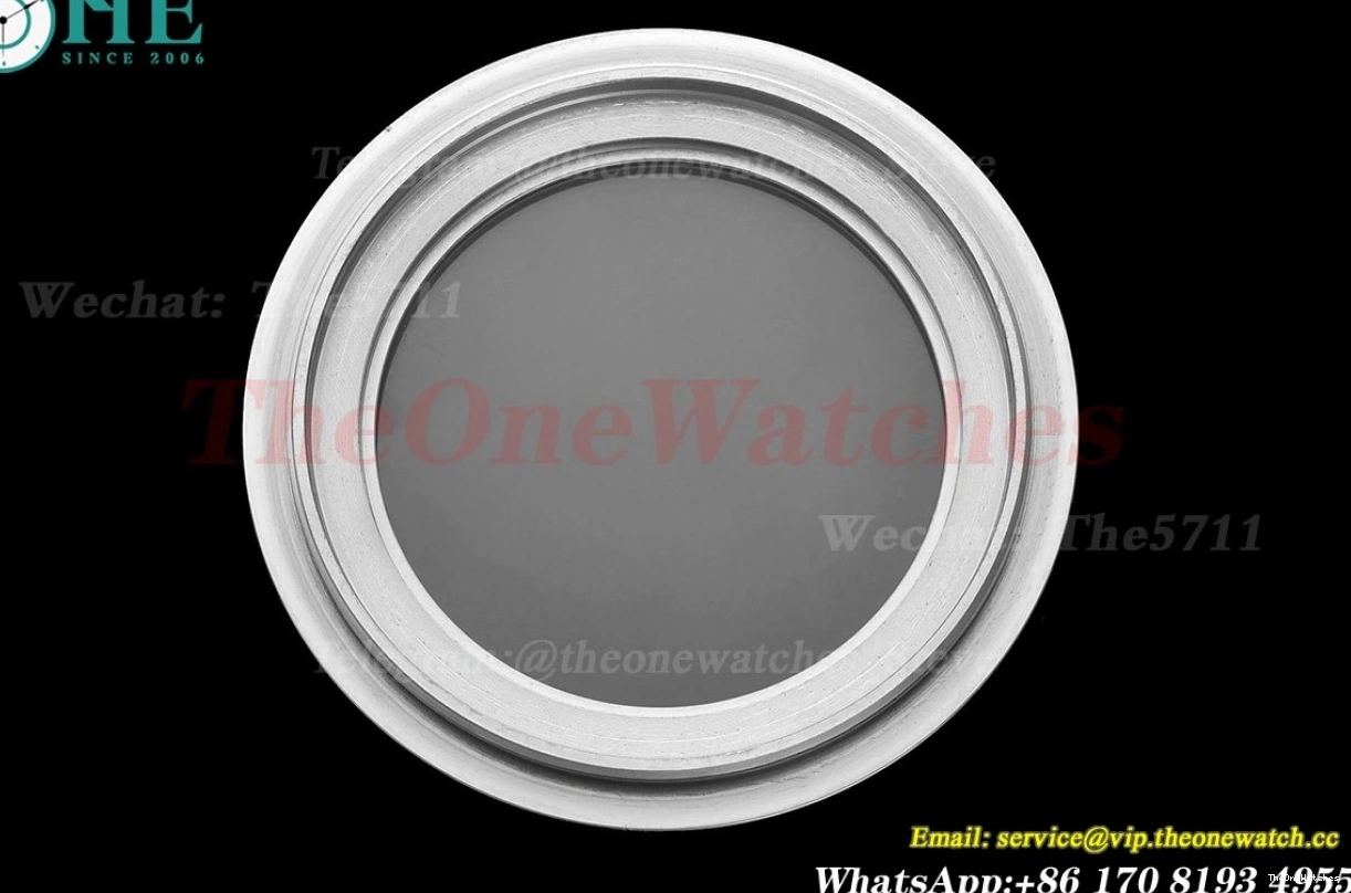 Grey GDF 40mm 5167 SS Dial Nautilus SS MY8215 0124